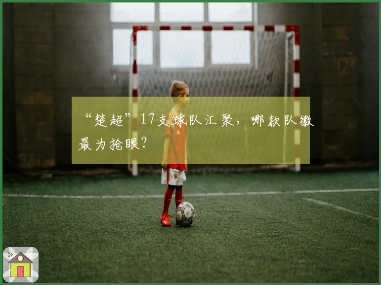 “楚超”17支球队汇聚，哪款队徽最为抢眼？